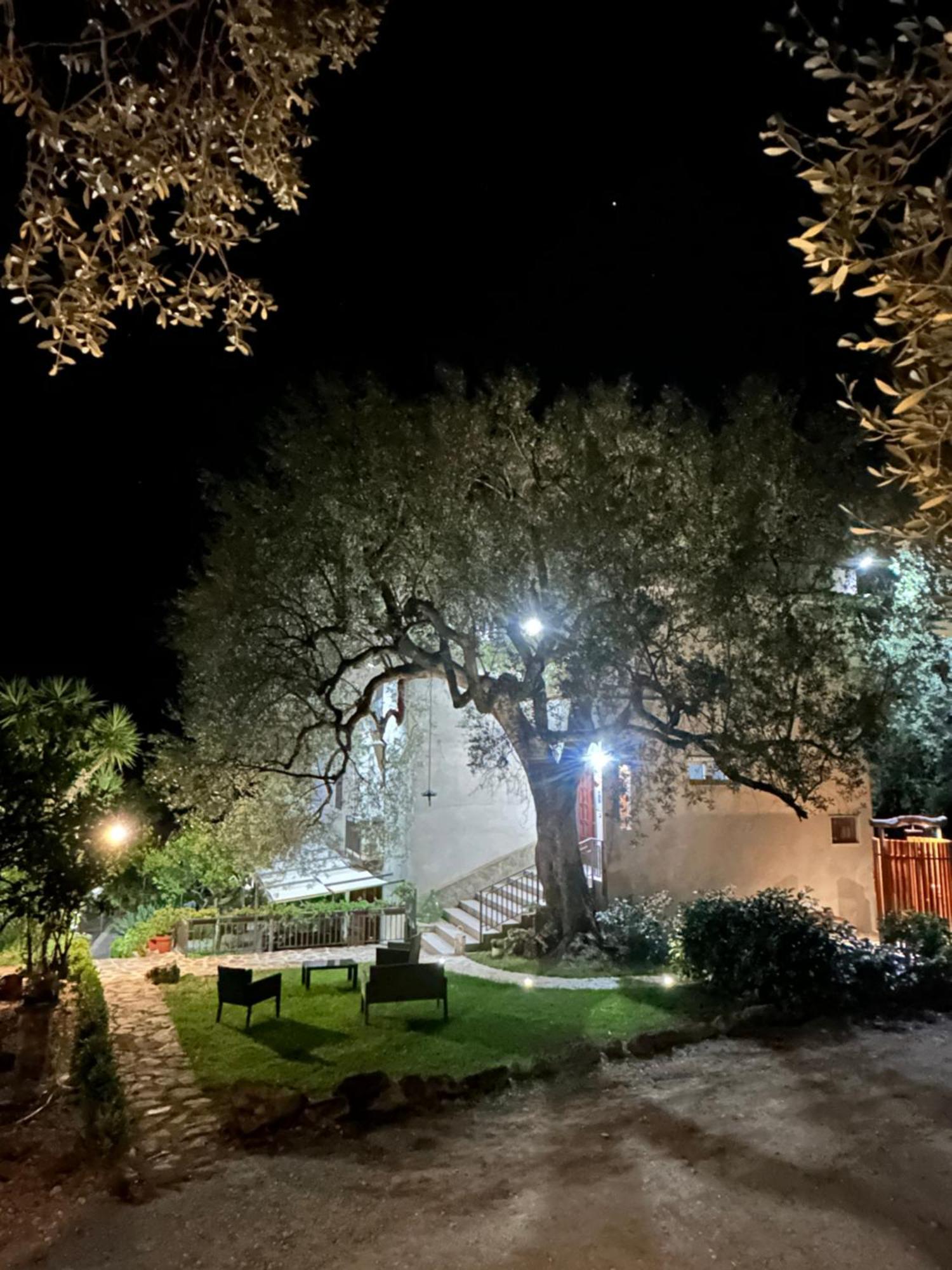 La Casa Del Maestro Attico Apartamento Pisciotta Exterior foto
