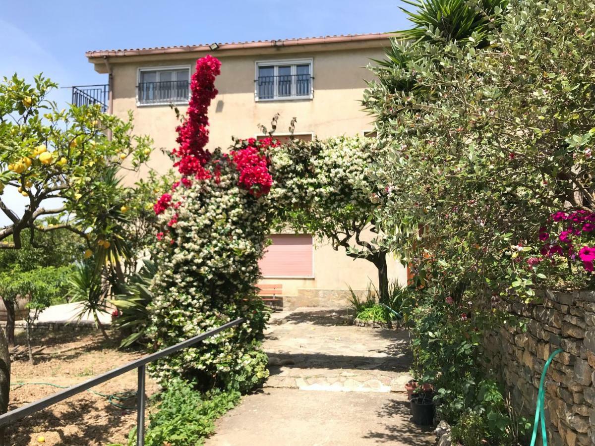La Casa Del Maestro Attico Apartamento Pisciotta Exterior foto