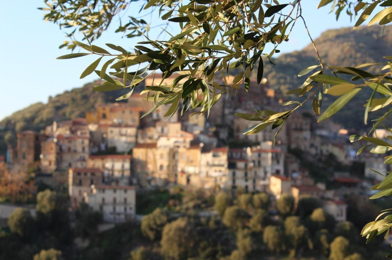 La Casa Del Maestro Attico Apartamento Pisciotta Exterior foto